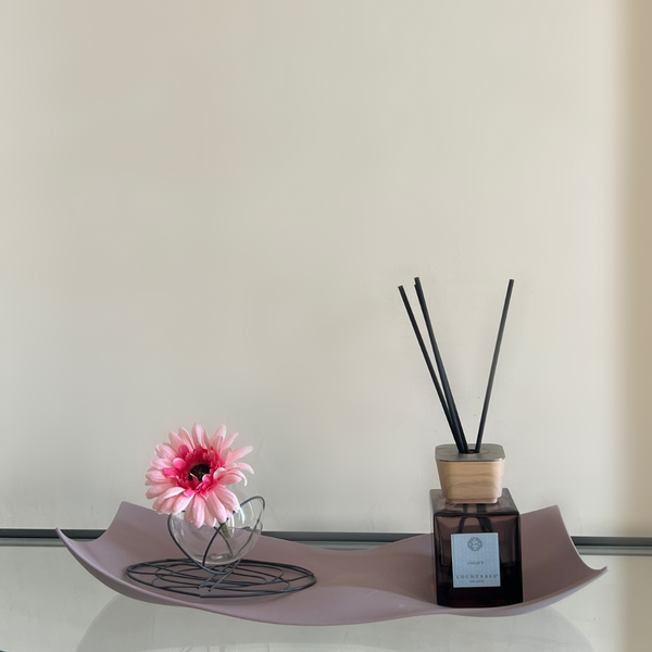 Double Curved  Porcelain Tray