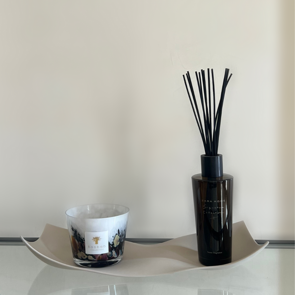 Double Curved  Porcelain Tray
