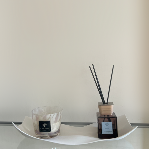 Double Curved  Porcelain Tray